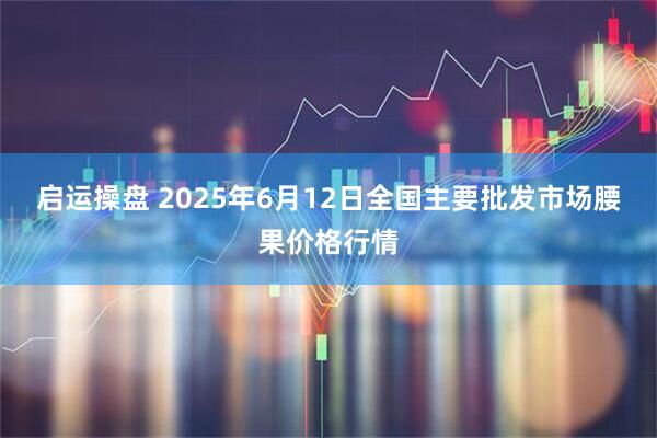 启运操盘 2025年6月12日全国主要批发市场腰果价格行情