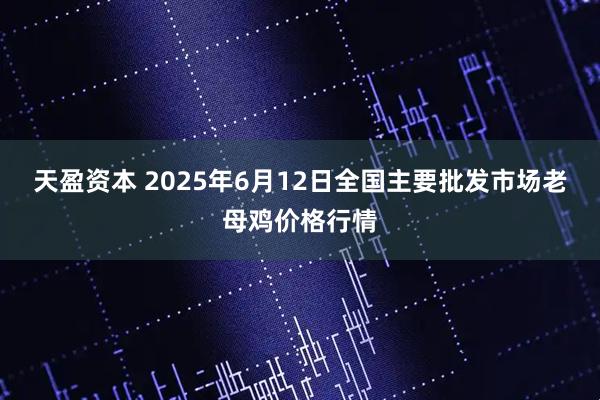 天盈资本 2025年6月12日全国主要批发市场老母鸡价格行情