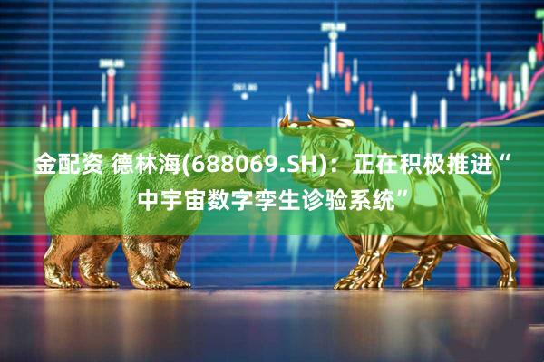 金配资 德林海(688069.SH)：正在积极推进“中宇宙数字孪生诊验系统”