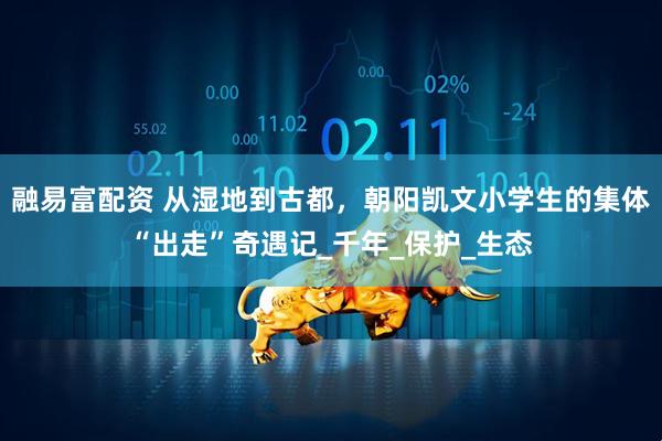 融易富配资 从湿地到古都，朝阳凯文小学生的集体“出走”奇遇记_千年_保护_生态