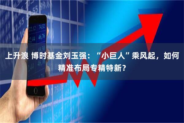 上升浪 博时基金刘玉强：“小巨人”乘风起，如何精准布局专精特新？