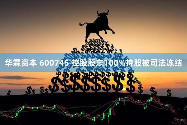 华霖资本 600745 控股股东100%持股被司法冻结